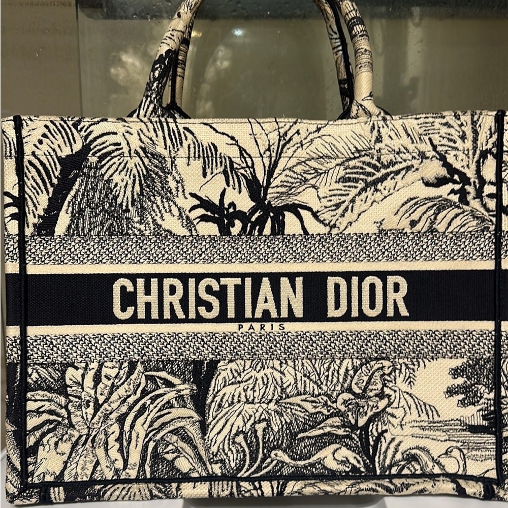 Dior book tote bag